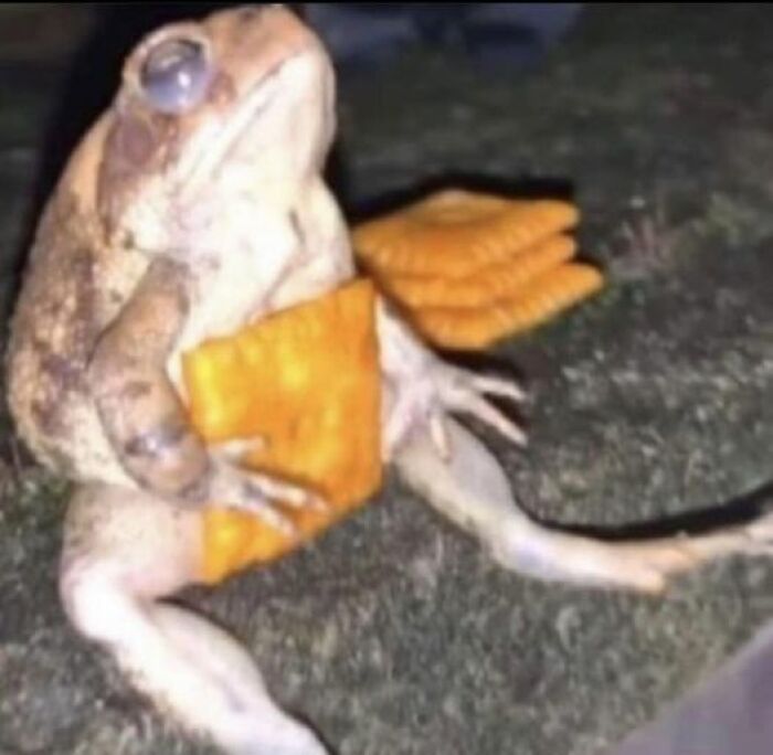 Chillin With My Cheese It’s Hbu ?