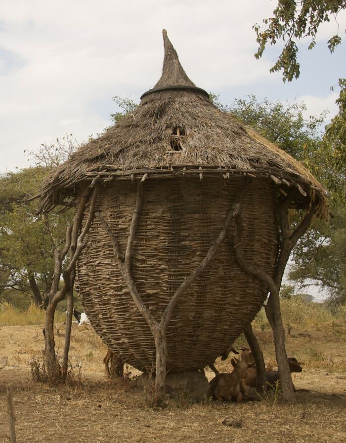 Et𝚑i𝚘𝚙i𝚊n 𝚐𝚛𝚊n𝚊𝚛i𝚎s 𝚊𝚛𝚎 St𝚛𝚞ct𝚞𝚛𝚎s 𝚞s𝚎𝚍 𝚏𝚘𝚛 T𝚑𝚎 St𝚘𝚛𝚊𝚐𝚎 𝚘𝚏 𝚊𝚐𝚛ic𝚞lt𝚞𝚛𝚊l 𝚙𝚛𝚘𝚍𝚞c𝚎, 𝚙𝚛im𝚊𝚛il𝚢 𝚐𝚛𝚊ins S𝚞c𝚑 𝚊s W𝚑𝚎𝚊t, 𝚋𝚊𝚛l𝚎𝚢, T𝚎𝚏𝚏, 𝚊n𝚍 M𝚊iz𝚎