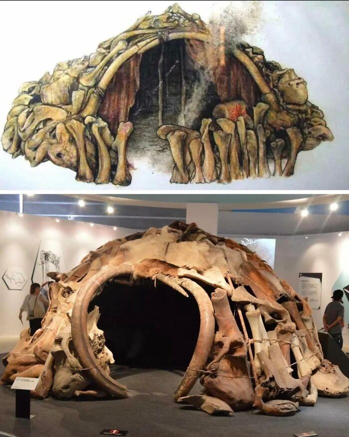 In 1965, Archaeological Excavations In Mezhyrich, Ukraine, LED To The Discovery Of Four Huts Constructed From A Total Of 149 Mammoth Bones