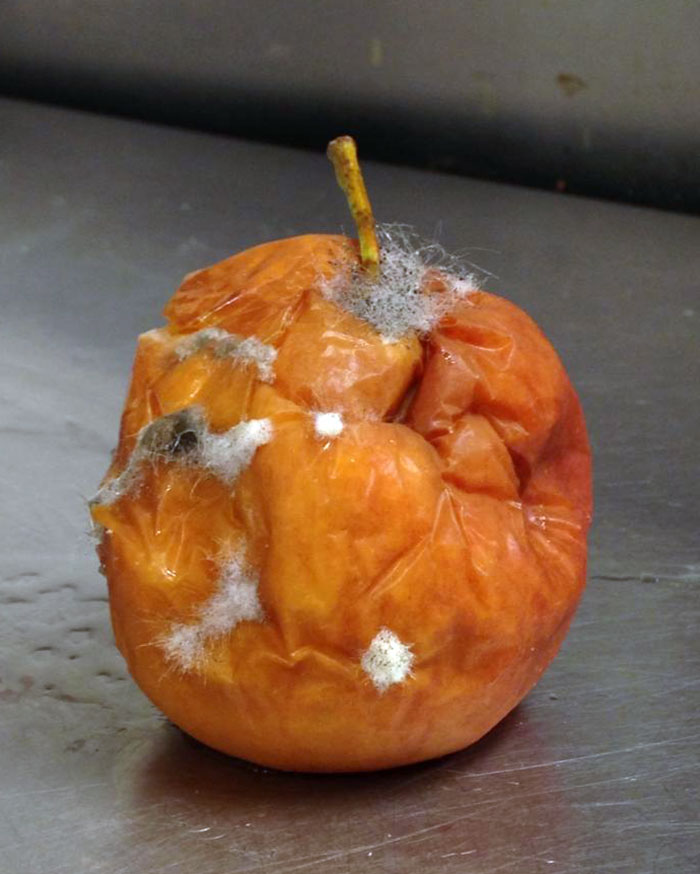 I Work At A Chain Restaurant. This Somehow Made It Past The Prep People And Almost On To A Customers Plate