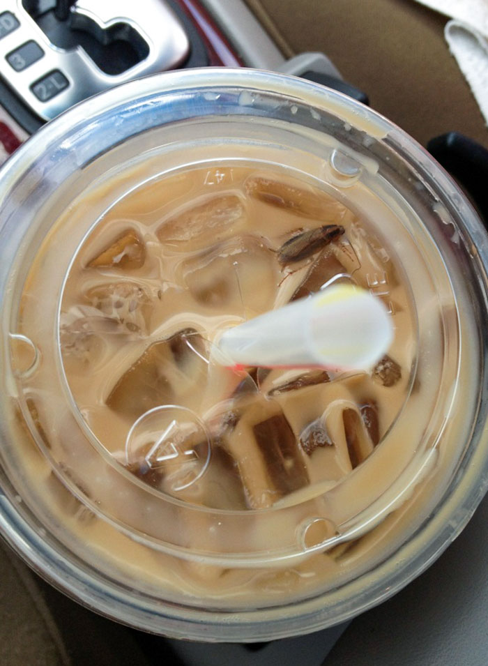 I Found Roach In My McDonald's Coffee In Kailua, Hawaii