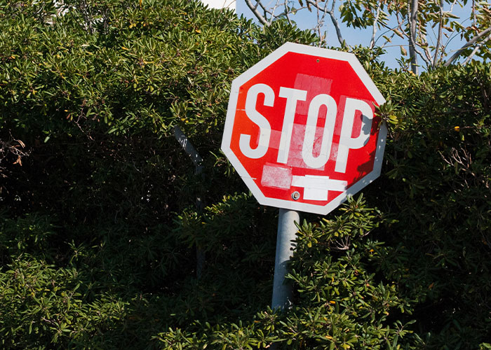 People Share 30 Crimes That You Probably Don't Even Know Are Crimes