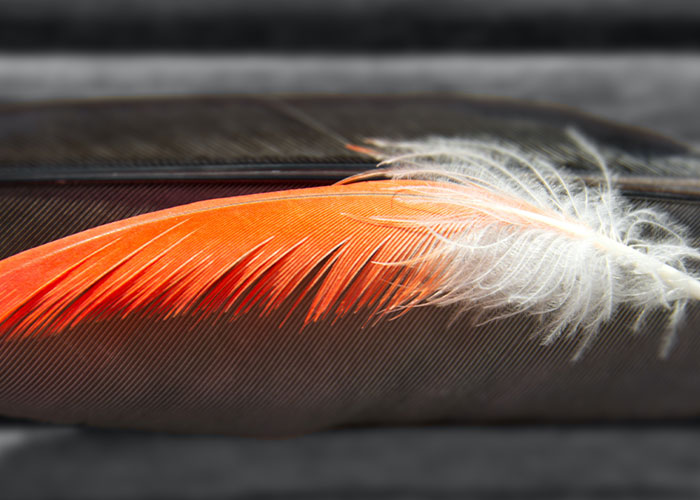 People Share 30 Crimes That You Probably Don't Even Know Are Crimes