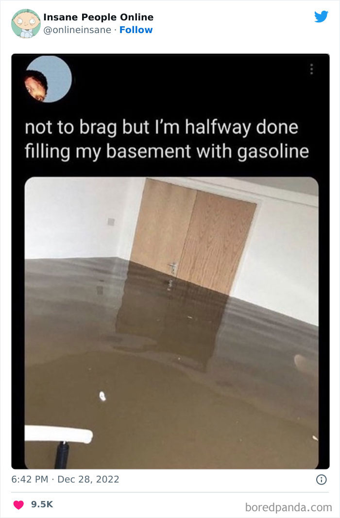 Insane-People-Online