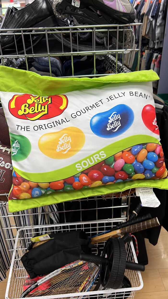 Just Thrifted A Dream Pillow