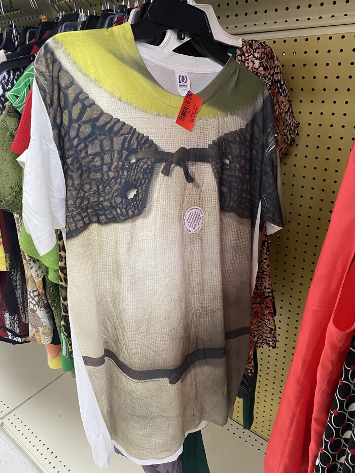 Shrek Regalia At Oakland Hope In Michigan For The Low Low Price Of 3 Dollars