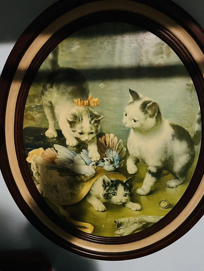 I Found This Older Cat Picture 💜💜💜 At A Thrift Shop. $5