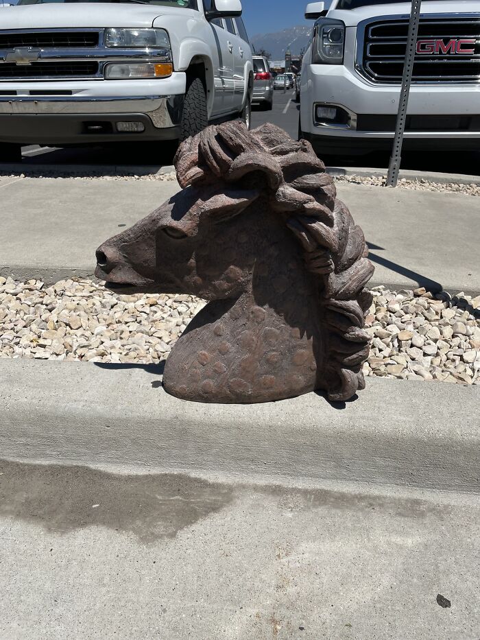 Deseret Industries In Springville Utah. Not Sure What It Is, Or Why It Is. All I Know Is I Immediately Got Godfather Vibes And For $5 It Went In My Cart To Come Home With Me