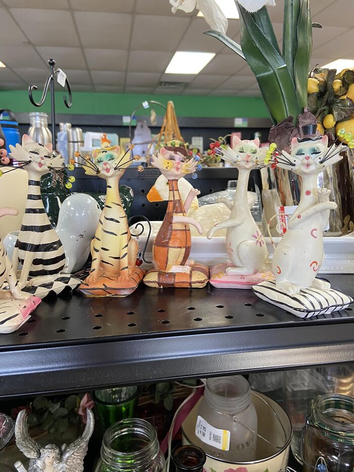 Are You Kitten Me? 😸😸😸 Found (And Left) These Beauties At Goodwill, Buckhannon, Wv