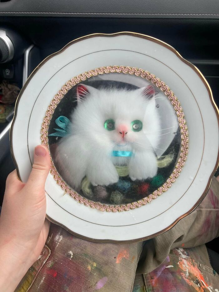 Found At My Local Goodwill!