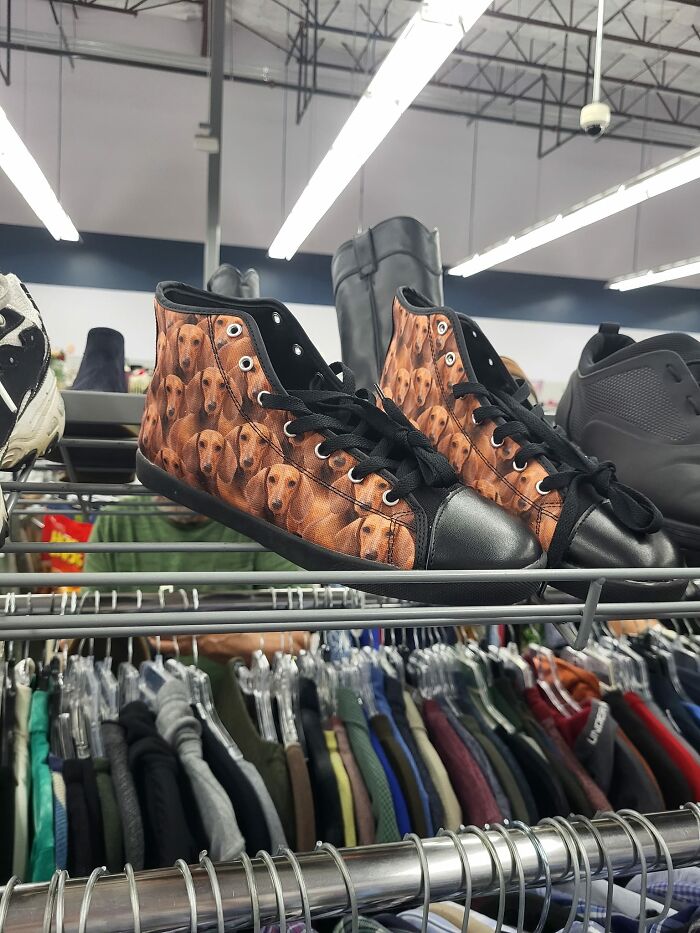 No Caption Necessary, Catch And Release At A Goodwill In Austin, Tx (Pleasant Valley Rd Location)