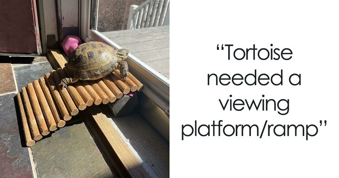 This Group Exists To Showcase The Most Brilliant Creations By ‘Redneck Engineers,’ And Here Are 40 Of The Wildest Ones (New Pics)