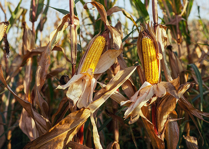 “At Night She Will Tell Me, Crying, That She Wished I Died Instead Of Mommy”: 30 Parents Tell Of The Things Their Kids Do That Absolutely Break Their Hearts