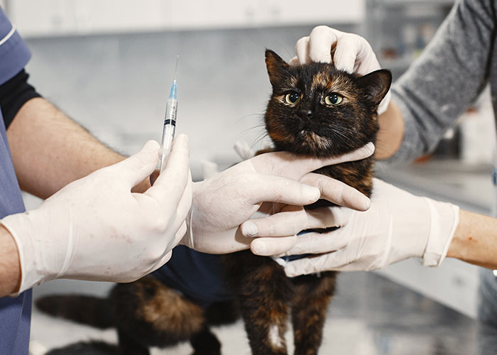 Tenant Finds Mold In The House Landlord Refuses To Do Anything, Tenant Makes Him Regret It