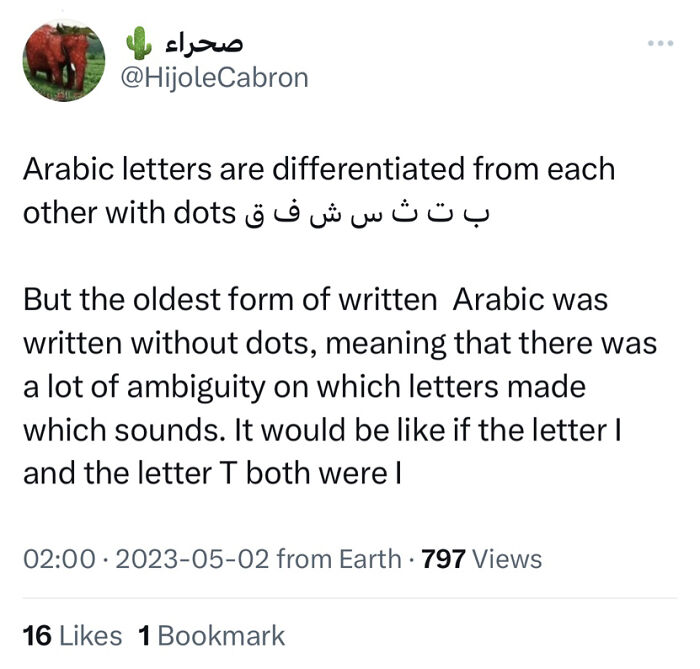 Linguists-Share-Cool-Language-Facts