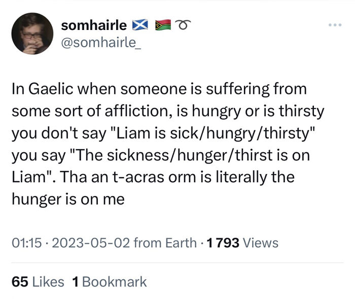 Linguists-Share-Cool-Language-Facts