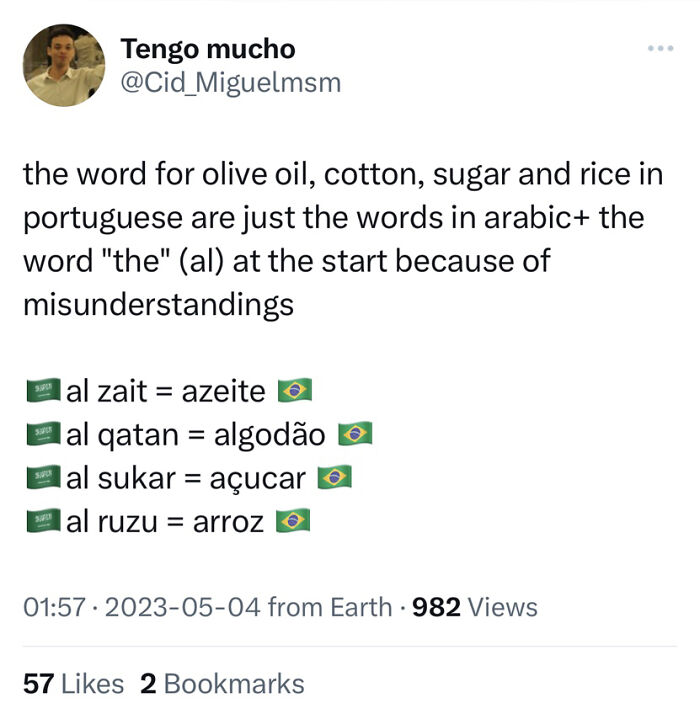 Linguists-Share-Cool-Language-Facts