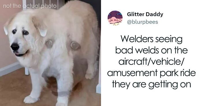 30 People Share Little-Known Facts About Their Professions That Would Freak Out Outsiders