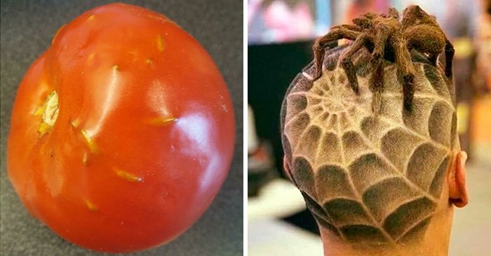 30 Pics That Are Supposed To Be Mildly Uncomfortable But Some Of Them Are Just Too Much