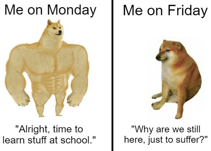 Meme with muscular dog on Monday and sad dog on Friday, highlighting Monday's challenges humorously.