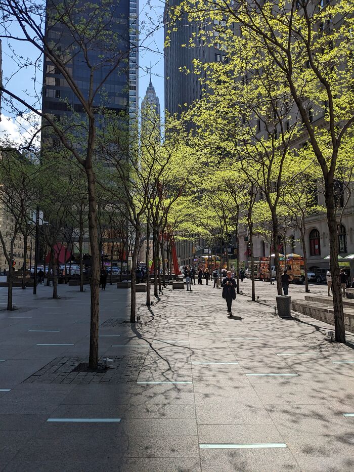 Looking East From The 9/11 Memorial