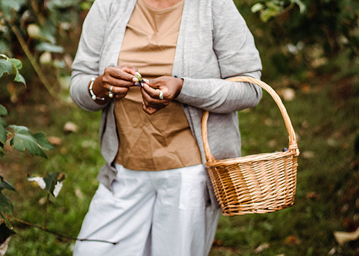 "Neighbor Yelled At Me Because I Harvested My Fruits Before She Could Steal Them" "Neighbor Yelled At Me Because I Harvested My Fruits Before She Could Steal Them"