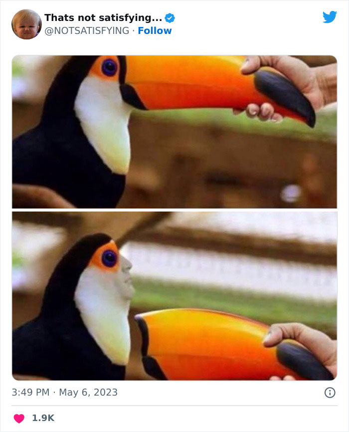 Not-Satisfying-Page-Twitter