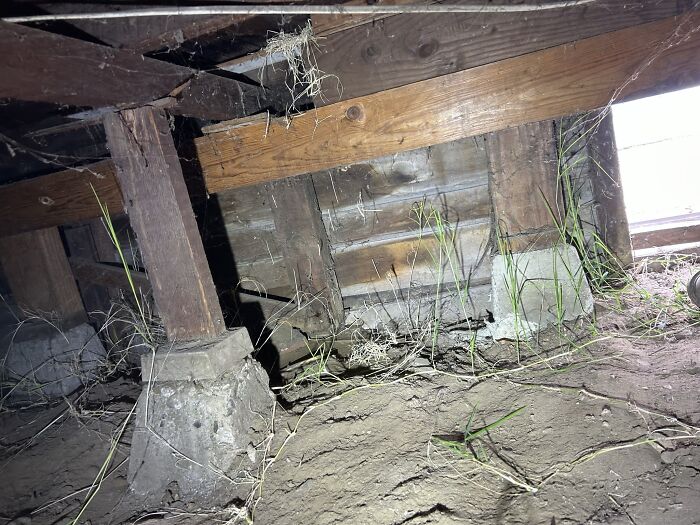 This Post And Pier System Is Being Used As A Perimeter Foundation. This Raises Concerns Regarding Lateral Deficiencies And Structural Stability. To Ensure Long-Term Durability, It Is Recommended To Replace This With A Conventional Continuous Footing, Providing A Stronger And More Reliable Foundation For The Structure