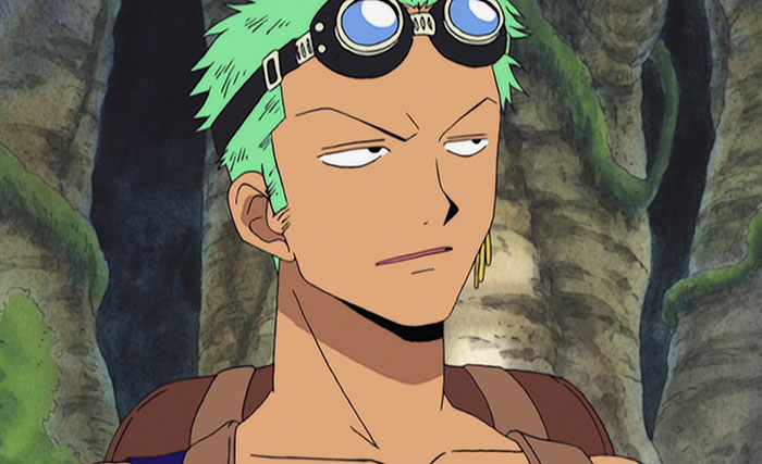 Roronoa Zoro watching