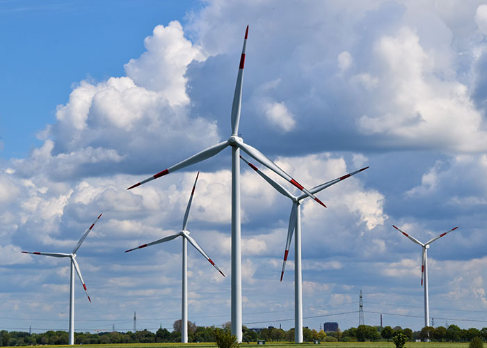 40 Incredibly Dumb Things People Have Said That They Probably Regretted Afterwards