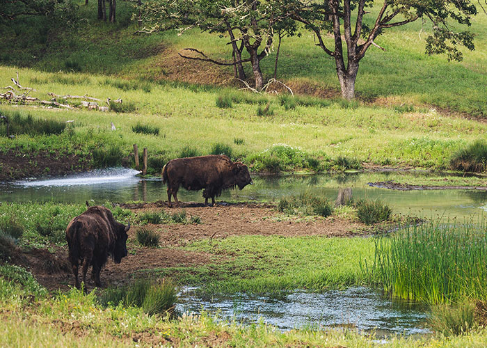 “Danger Can Sneak Up On You”: 30 Americans Share Places To Avoid At All Costs