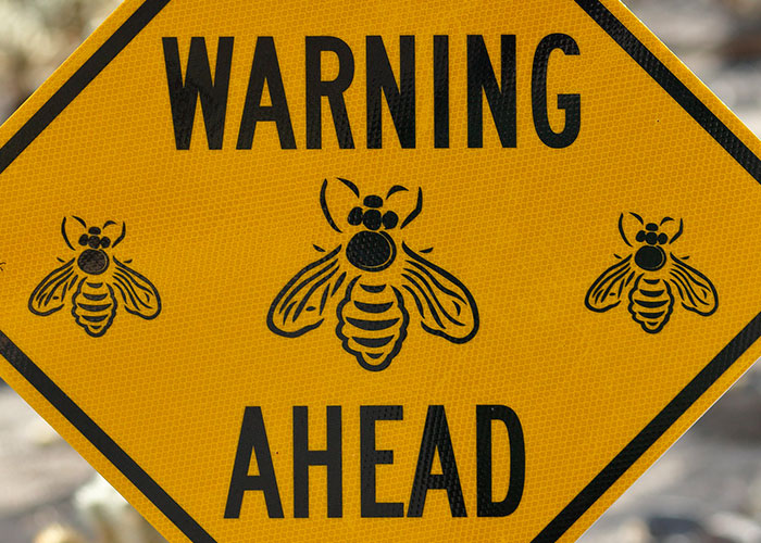 “Danger Can Sneak Up On You”: 30 Americans Share Places To Avoid At All Costs