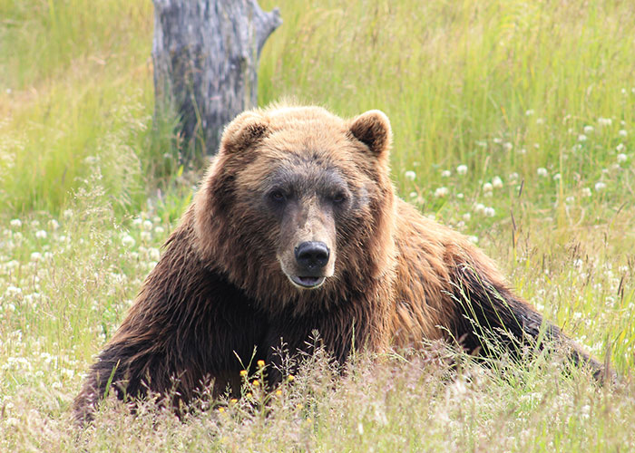 “Danger Can Sneak Up On You”: 30 Americans Share Places To Avoid At All Costs