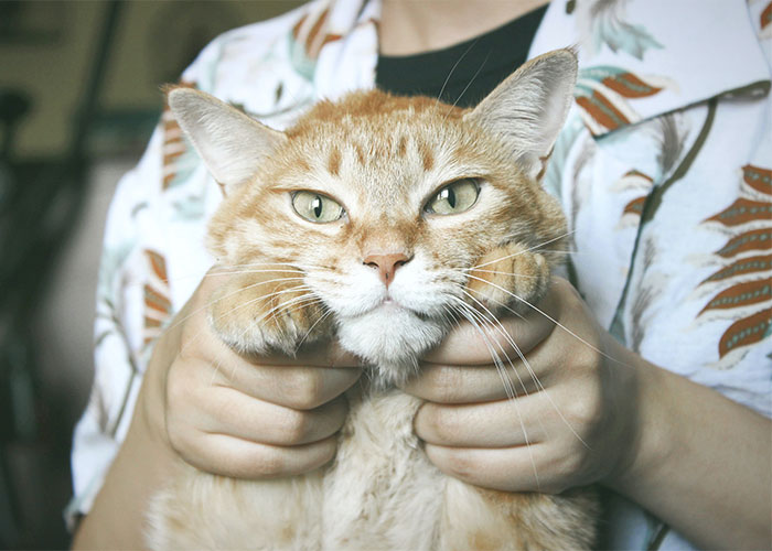 “What's Something Subtle That Instantly Gives You Bad Vibes About Someone?” (40 Answers)