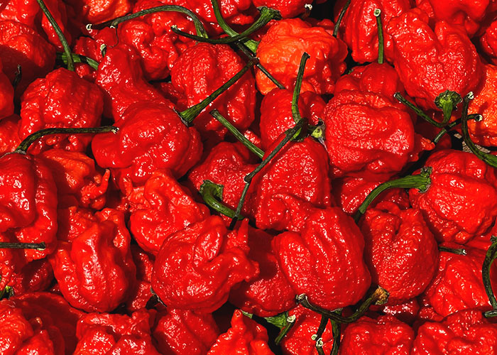 Guy Decides To Punish A Sandwich Thief, Ends Up Being At Fault As It Turns Out To Be A Kid