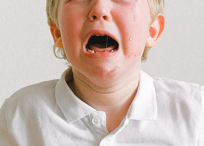 Guy Decides To Punish A Sandwich Thief, Ends Up Being At Fault As It Turns Out To Be A Kid