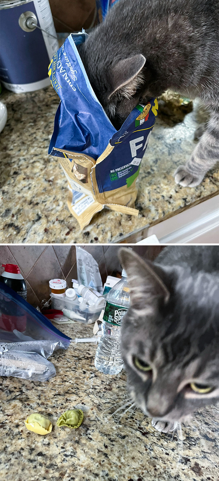 Meatball Stealing My Tortellini