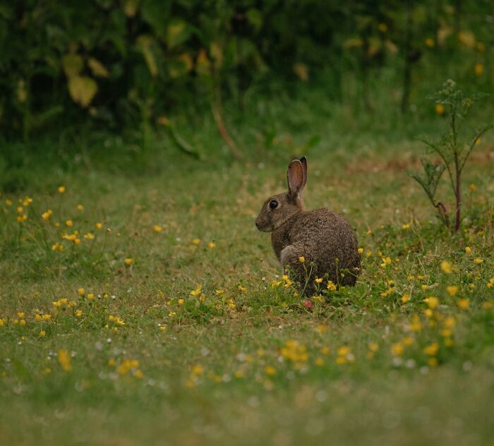 30 Creepy Things That Are Actually Perfectly Legal, Pointed Out By Folks Online