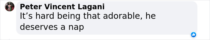 K9 Puppy Melts Hearts By Dozing Off During Swearing-In Ceremony K9 Puppy Melts Hearts By Dozing Off During Swearing-In Ceremony