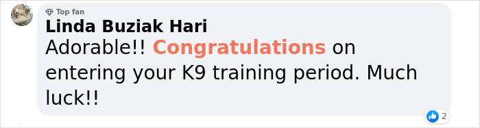 K9 Puppy Melts Hearts By Dozing Off During Swearing-In Ceremony K9 Puppy Melts Hearts By Dozing Off During Swearing-In Ceremony