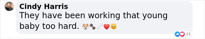 K9 Puppy Melts Hearts By Dozing Off During Swearing-In Ceremony K9 Puppy Melts Hearts By Dozing Off During Swearing-In Ceremony