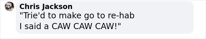 Extraordinary Tale Of A Rescued Baby Raven&rsquo;s Affectionate Mornings With His New Mom