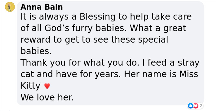 Watch Mama Raccoon Bringing Albino Babies To Her Favorite People