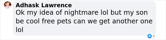 Man Receives Shock Of A Lifetime After Finding Snake Inside Bag Of Broccoli, Demands Compensation Man Receives Shock Of A Lifetime After Finding Snake Inside Bag Of Broccoli, Demands Compensation
