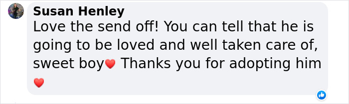 Heartwarming Video Showing Shelter Dog Saying Goodbye To Staff Members After Being Adopted Heartwarming Video Showing Shelter Dog Saying Goodbye To Staff Members After Being Adopted