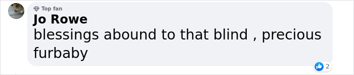 TikToker Gets Airbnb With Adorable Deaf and Blind Dog Who Guides Guests To The Beach TikToker Gets Airbnb With Adorable Deaf and Blind Dog Who Guides Guests To The Beach