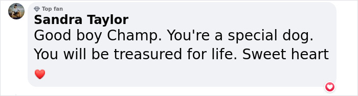 Heartwarming Story Of Dog Rescuing His Family From Fire Heartwarming Story Of Dog Rescuing His Family From Fire