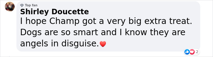 Heartwarming Story Of Dog Rescuing His Family From Fire Heartwarming Story Of Dog Rescuing His Family From Fire