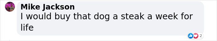 Heartwarming Story Of Dog Rescuing His Family From Fire Heartwarming Story Of Dog Rescuing His Family From Fire