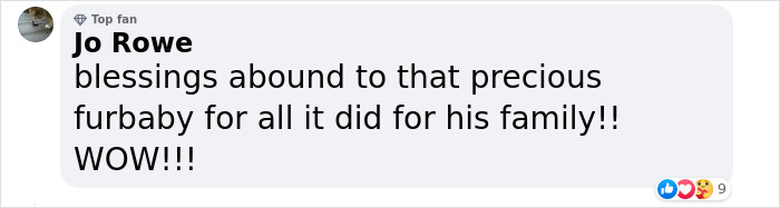 Heartwarming Story Of Dog Rescuing His Family From Fire Heartwarming Story Of Dog Rescuing His Family From Fire